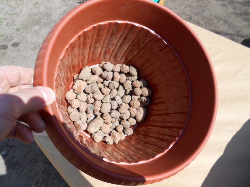 Pour que l'excès d'eau s'écoule du sol, un drainage doit être effectué.