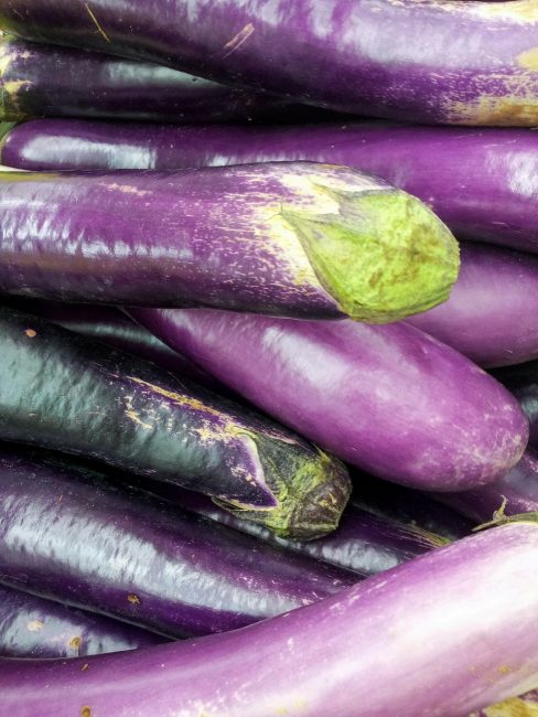 Aubergine à peau sèche