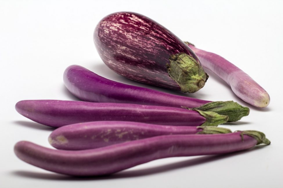 Deux types d'aubergines