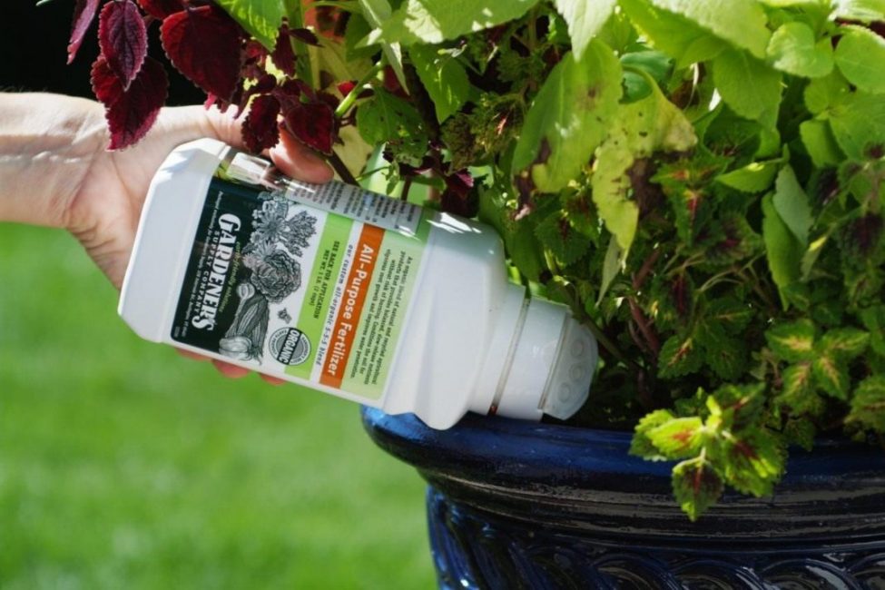 l'alimentation des plantes