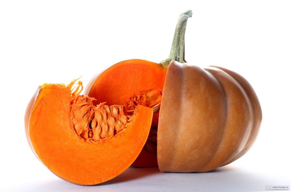 Courge butternut