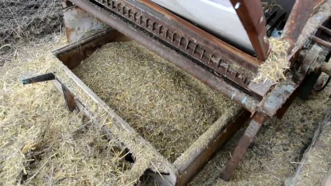 Substrat pour pleurote