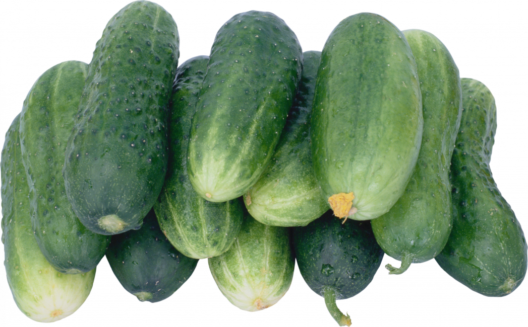 Altaï (cornichon de l'Altaï)