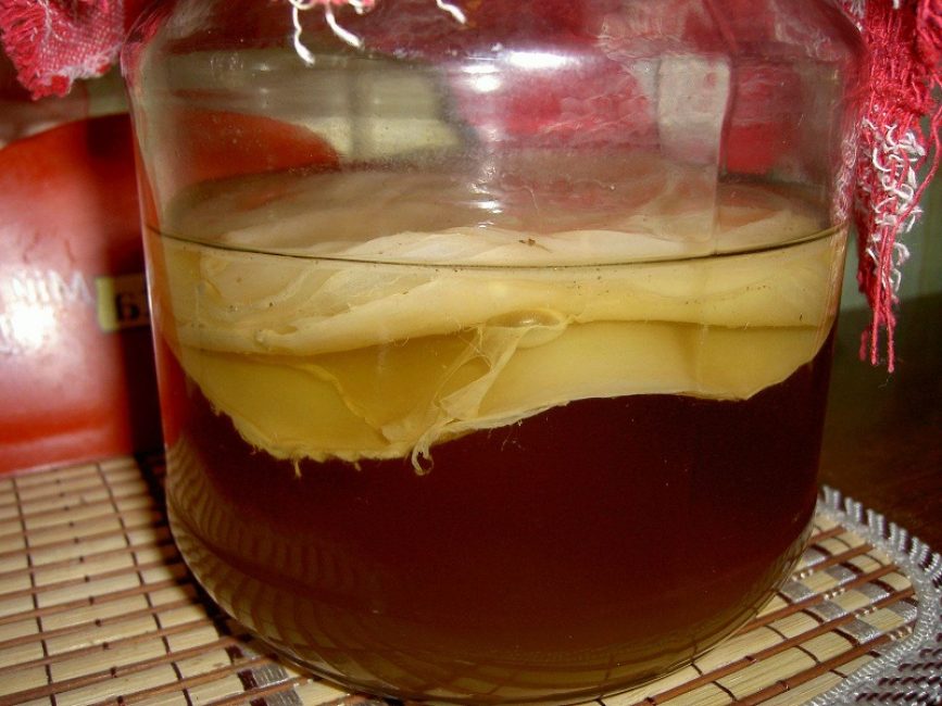 Kombucha en pot