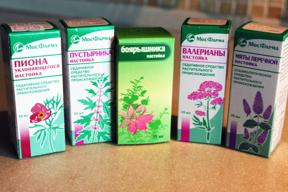 Des plantes pour votre santé