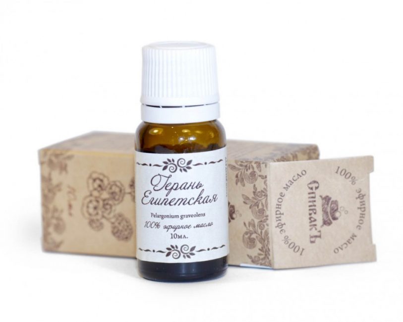 propriétés utiles du géranium