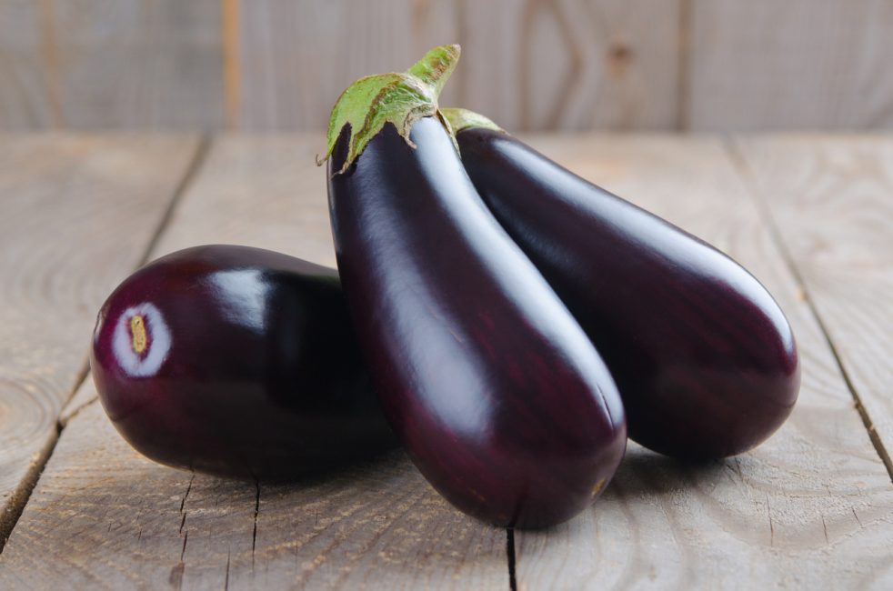 Variété d'aubergine Vera