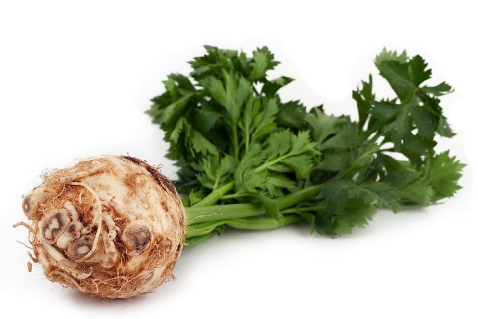 Le céleri racine prend le plus de temps à entretenir