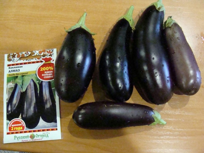 Aubergine de qualité diamant