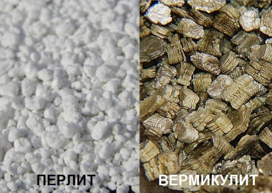 Comparaison de la perlite et de la vermiculite