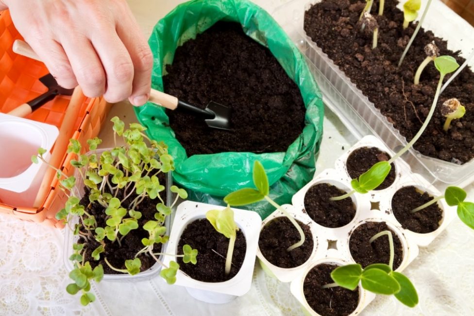 Processus de moulage