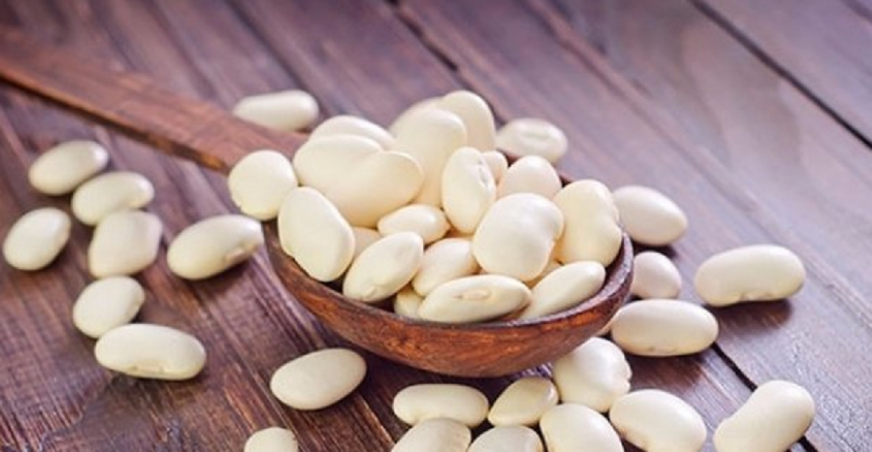 Les grains légèrement aplatis de Butter Lima ont une teinte légèrement verdâtre qui s'estompe au fur et à mesure que le grain sèche.