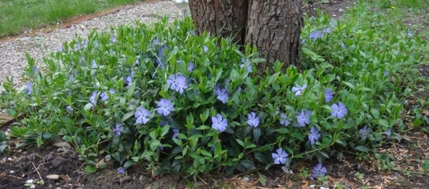 L'atterrissage en pleine terre est effectué avec de l'air chaud jusqu'à 20 degrés