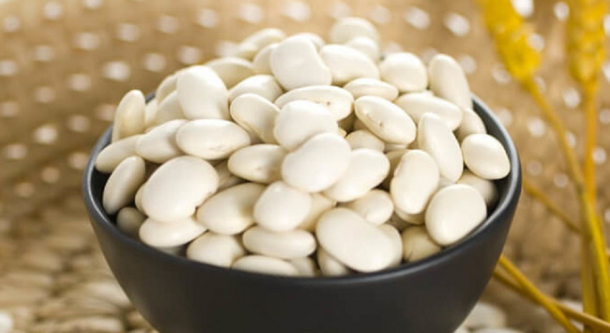 Haricots blancs à gros grains blancs - Chali, un favori pour le potassium et le calcium avec une teneur élevée en antimicrobiens