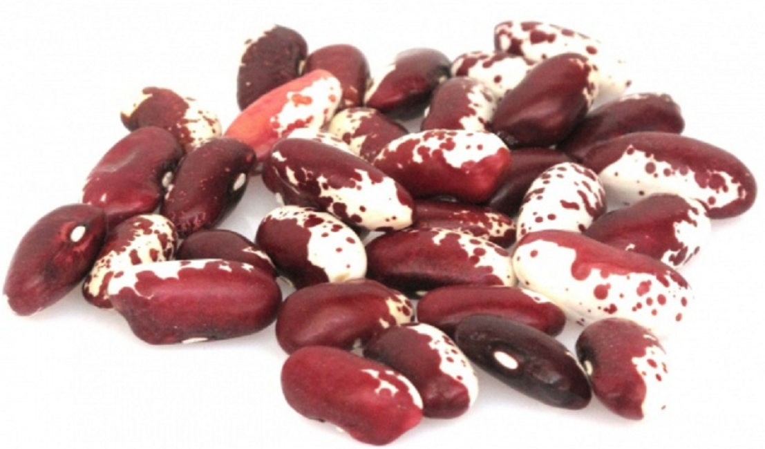 L'hirondelle blanche comme neige, recouverte de taches de cuivre lilas à l'intérieur (grain) et à l'extérieur (gousse), est bonne à la fois comme option de décorticage et comme asperge. L'essentiel est de garder une trace du degré de maturité! A une teneur élevée en cuivre et en zinc.