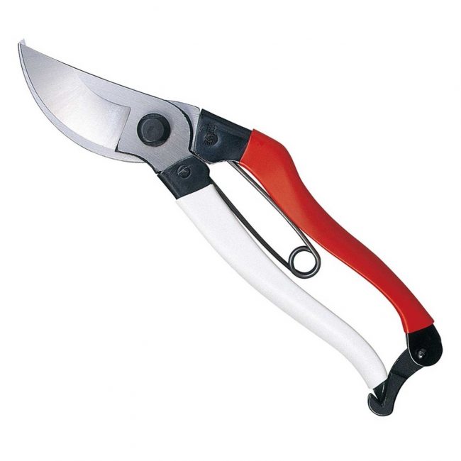Sécateur d'élagage