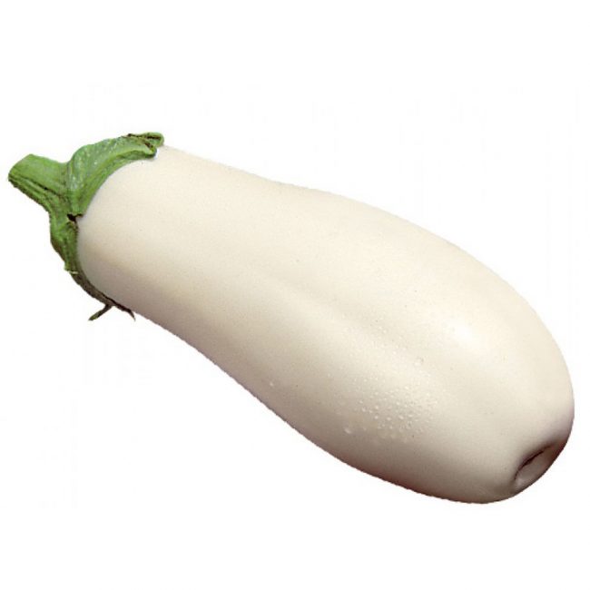 Variété d'aubergine iceberg
