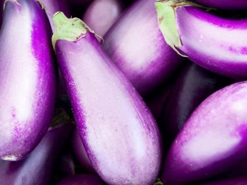 Variété d'aubergine lilas