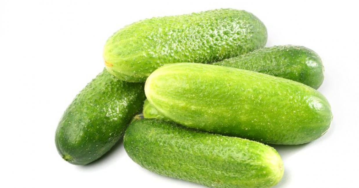 Bébé préféré F1