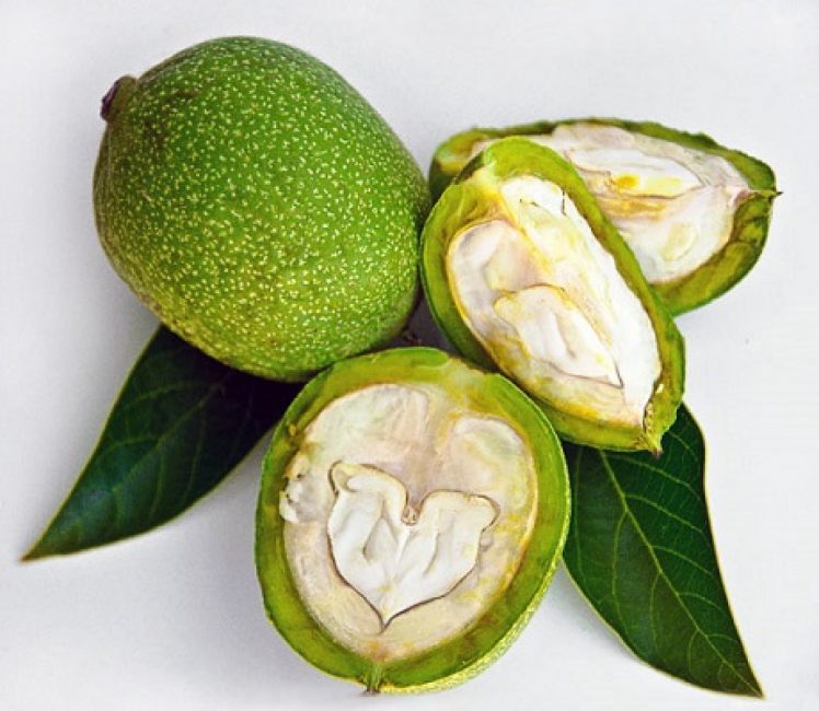 Peu de gens le savent, mais une noix non mûre est aussi très utile pour le corps.