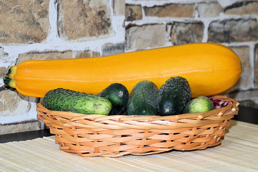 La courgette jaune se trouve sur des concombres