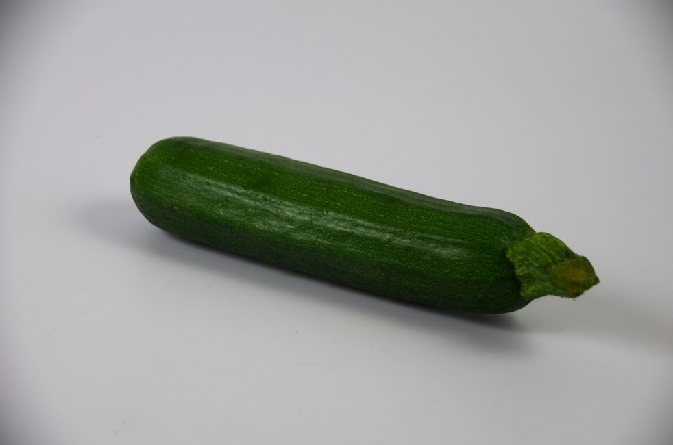 Variété de courgettes Candela