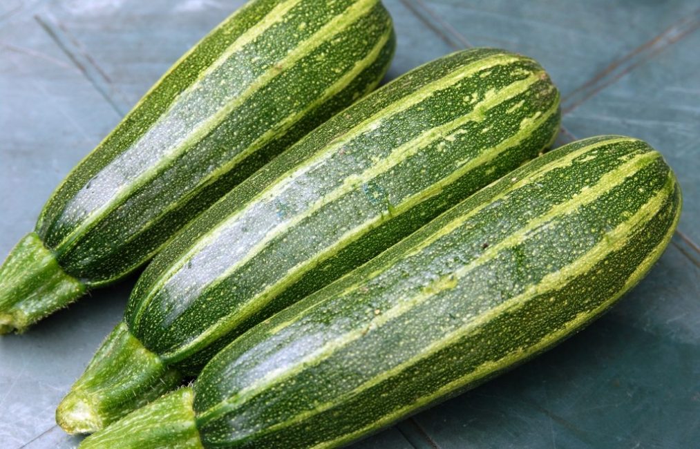 Variété de courgettes Zebra