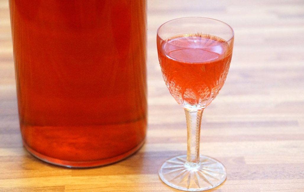 Liqueur de canneberge maison