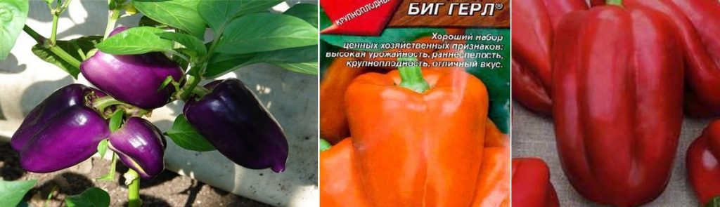 Grand papa Grande fille Grand garçon