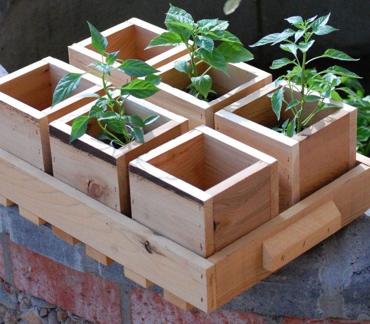 Belles boîtes de semis en bois faites maison