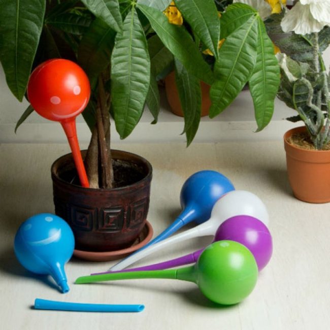 Flacons pour arroser les fleurs