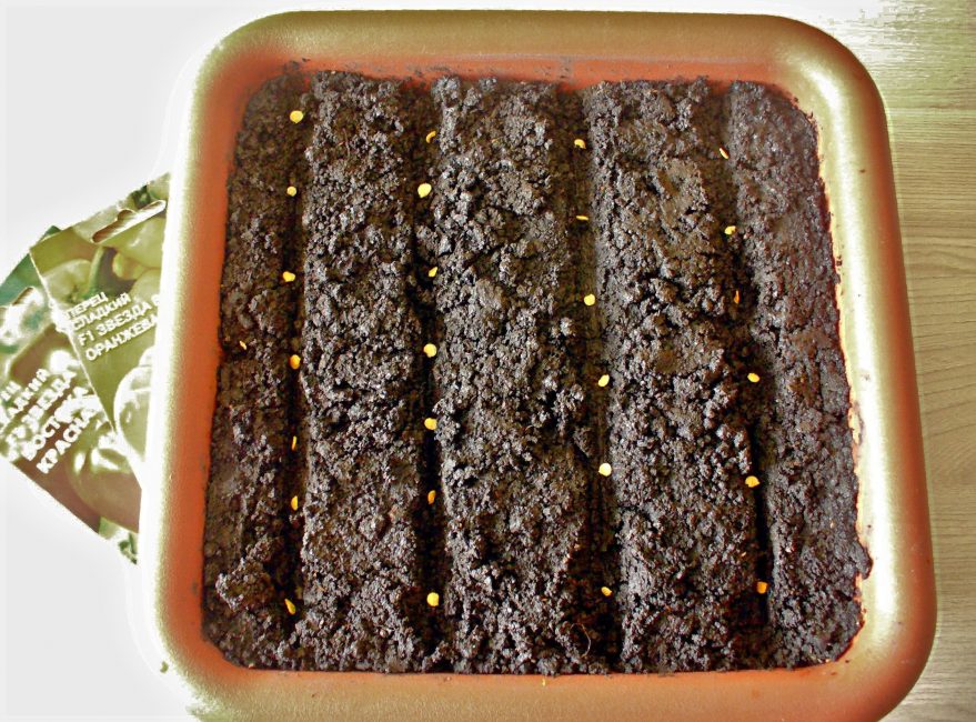 Planter des graines de poivre