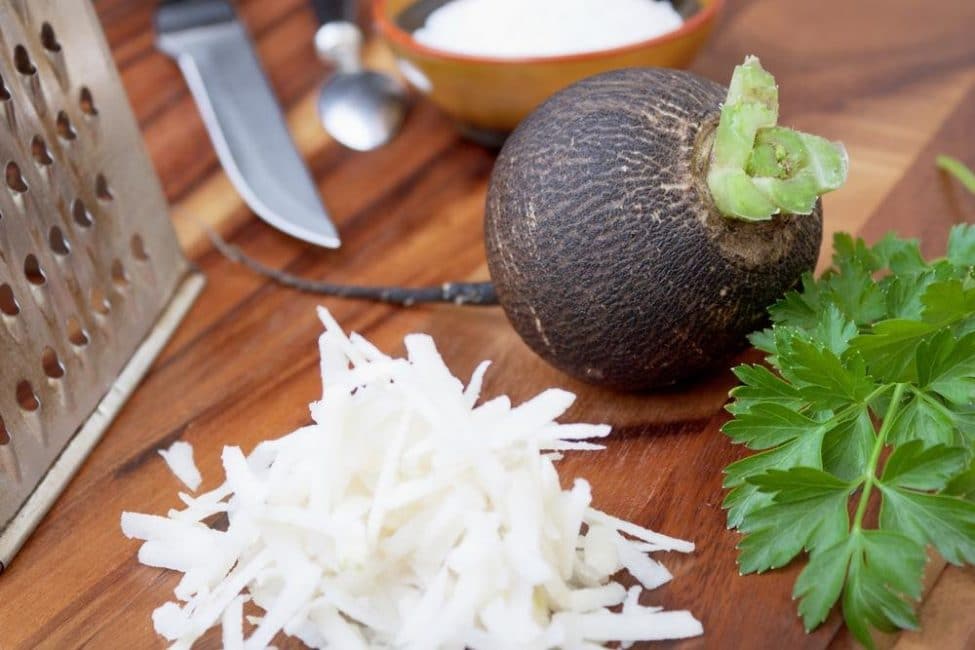 Radis noir médicinal