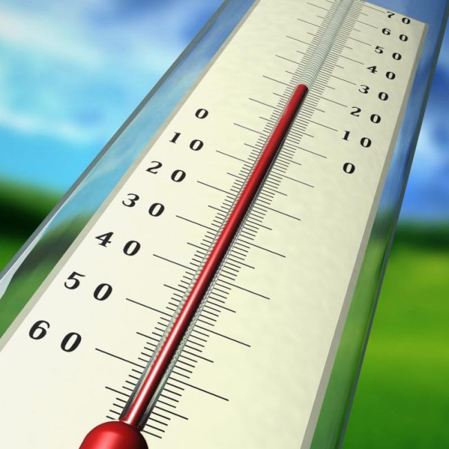 Température optimale de l'air pendant la croissance des plantes + 18- + 23C