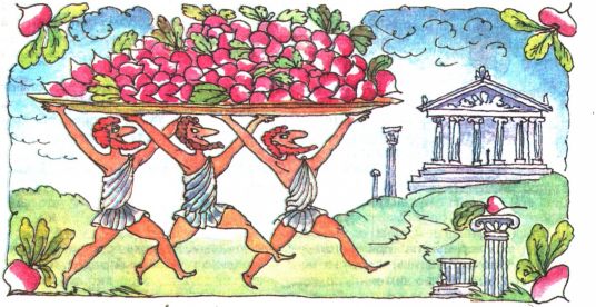 radis en grèce antique