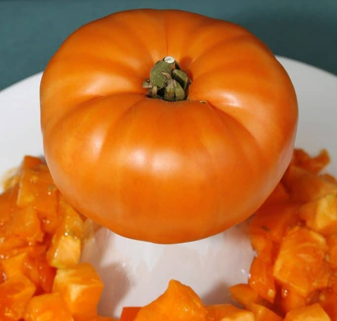 Géant Jaune de Claude Brown (Géant Jaune de Brown)