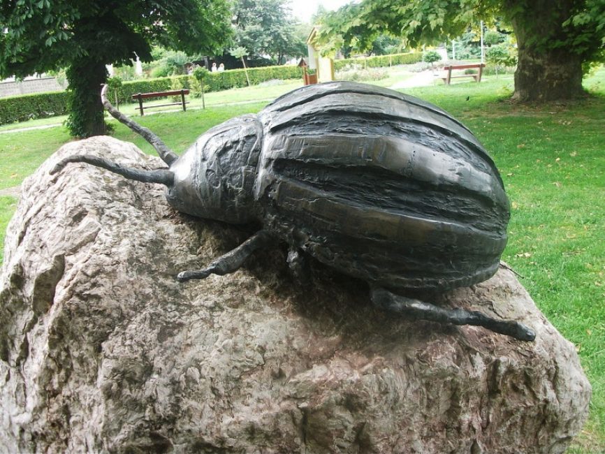 Monument aux scarabées. Des agriculteurs hongrois reconnaissants en l'honneur des 50 ans de son apparition dans le pays