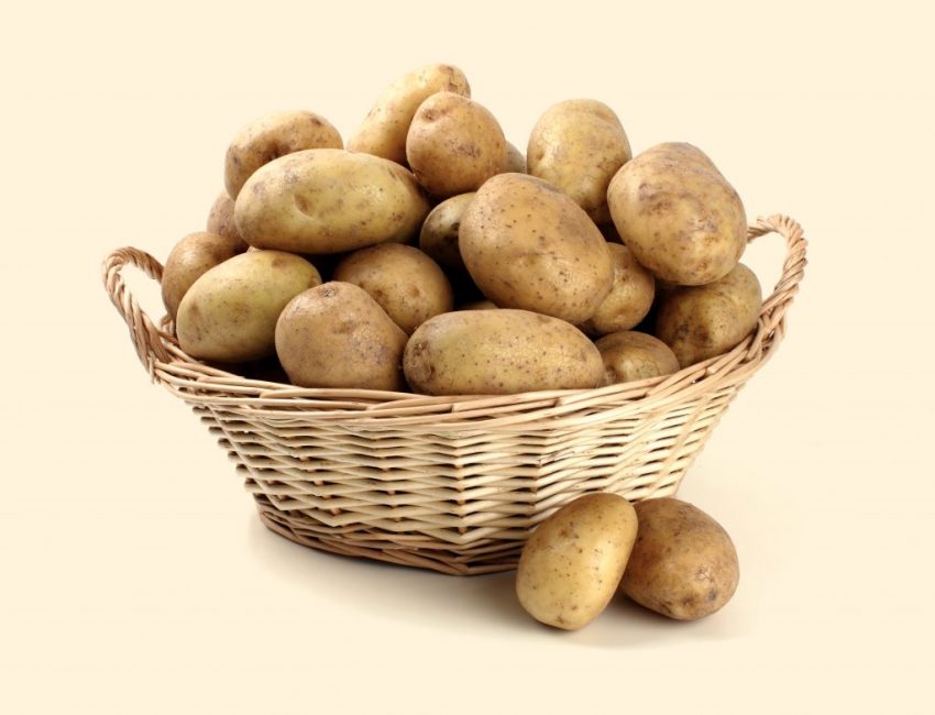 Variétés de pommes de terre Assol