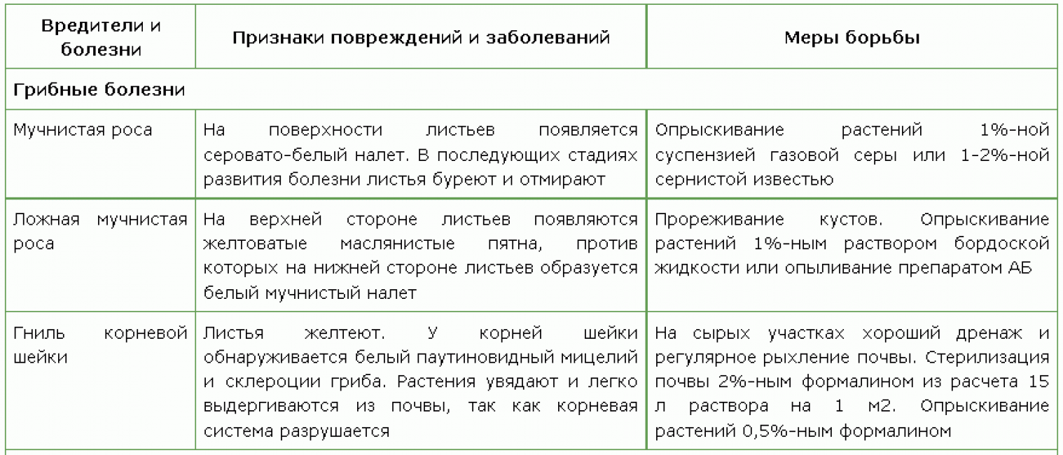 tableau Maladies fongiques delphinum