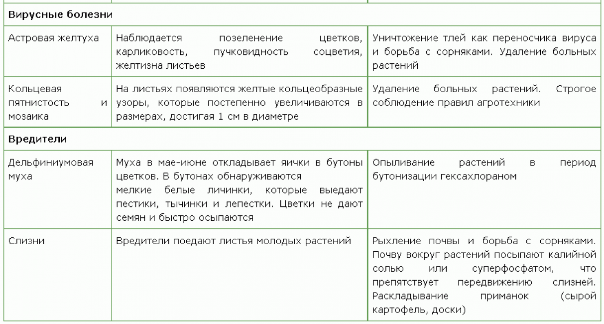 Maladies virales du delphinum