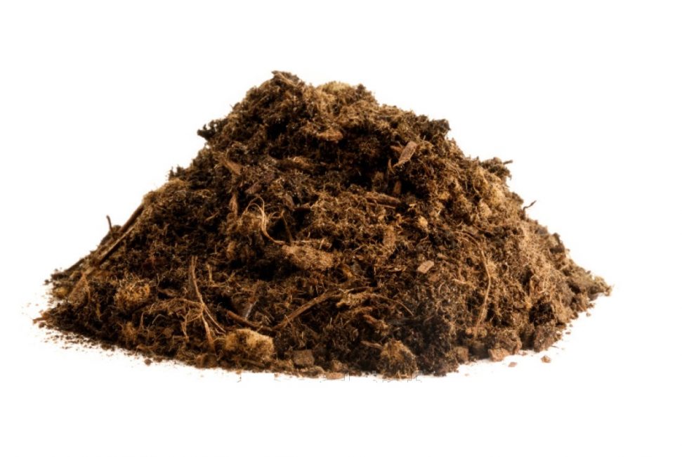 nutrition biologique