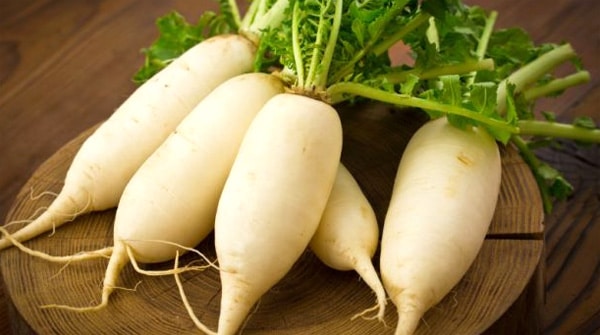 Radis héros de Moscou