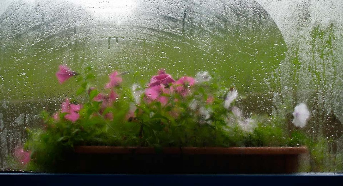 L'humidité est aussi très importante.