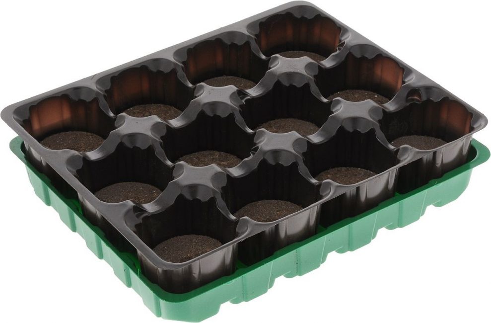 La boîte la plus simple pour faire pousser des semis dans des conteneurs de tourbe pour 12 places