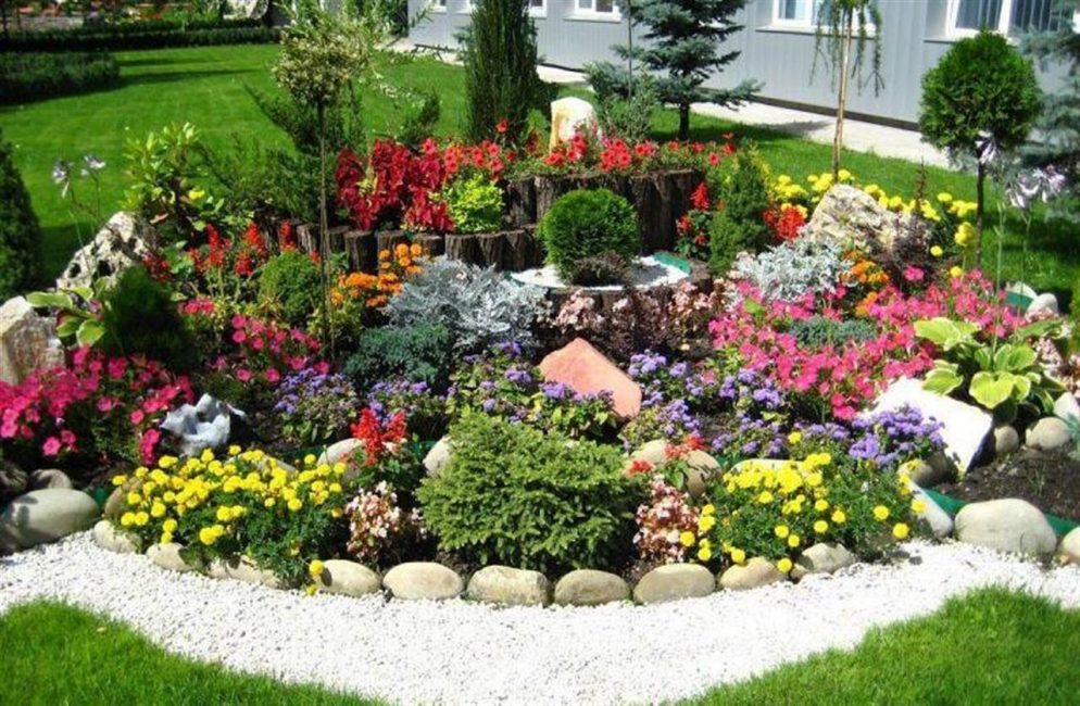 Ceci n'est pas une rocaille. Il s'agit d'un parterre de fleurs avec des plantes pour rocaille