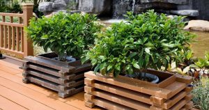 Comment faire des pots de fleurs de vos propres mains: extérieur, pour la maison, suspendu