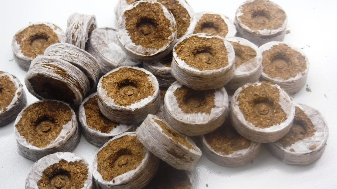 comprimés de noix de coco