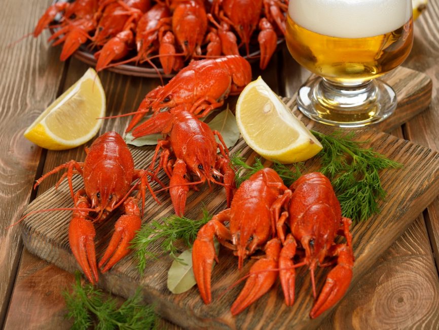écrevisses pour la bière