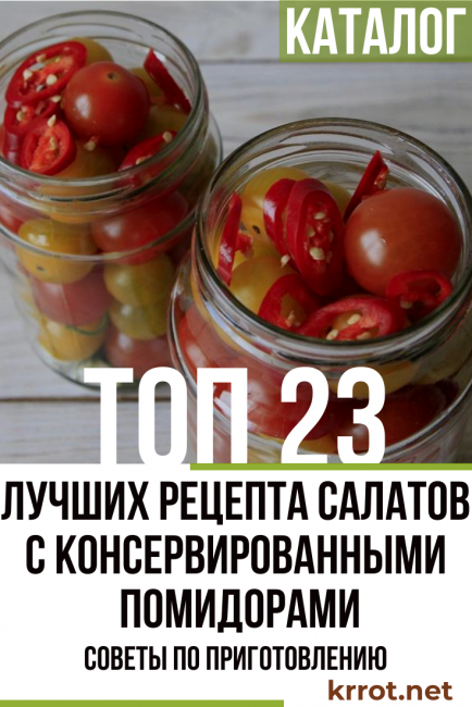 23 recettes de salade de tomates en conserve