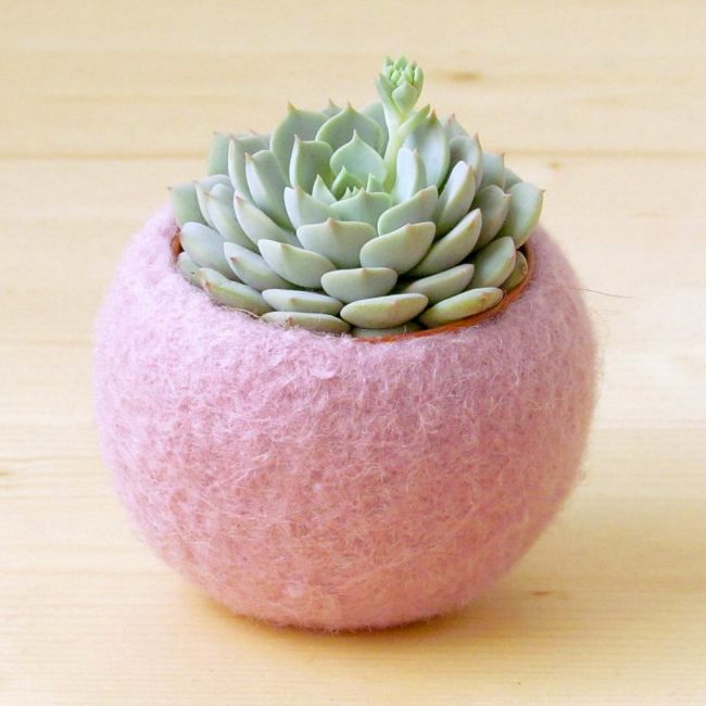 Jardinières en feutre